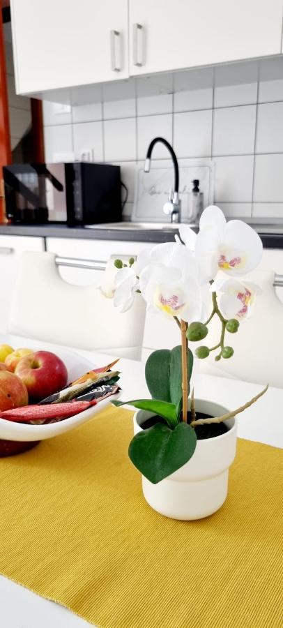 Apartment Severina Rovinj